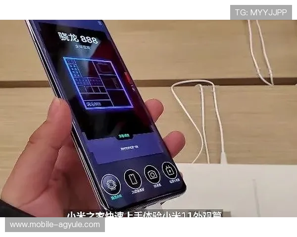 888真人网站最新注册流程与登录指南帮助新手快速上手体验